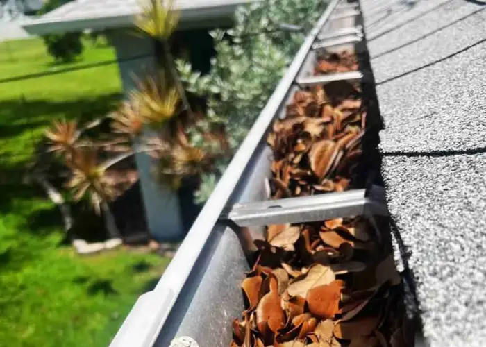 Gutter Cleaning Scottdale home page